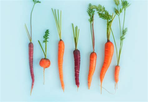 Different Types Of Carrots