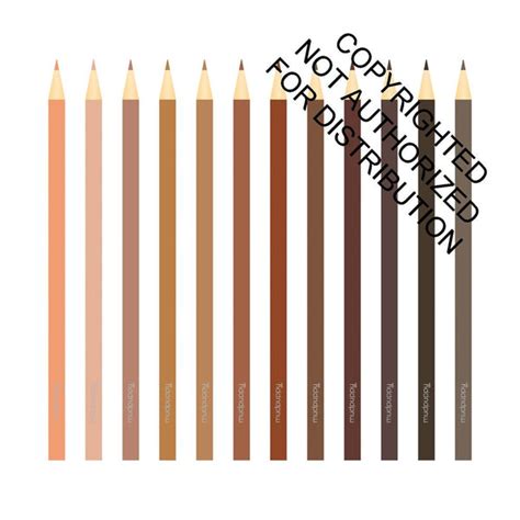 We Are Colorful Skin Tone Colored Pencils Knowledge Bookstore