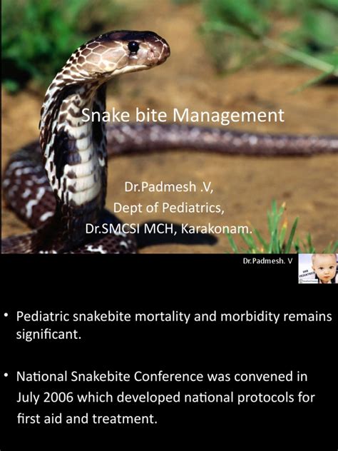 Snake Bite Management Dr Padmesh V Dept Of Pediatrics Dr Smcsi