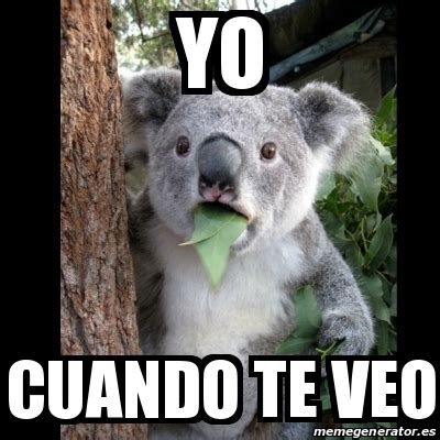 Meme Koala Yo Cuando Te Veo 24265492