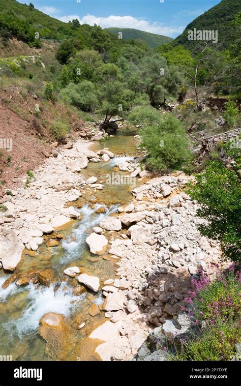 Neda River Elis Peloponnese Greece Stock Photo Alamy