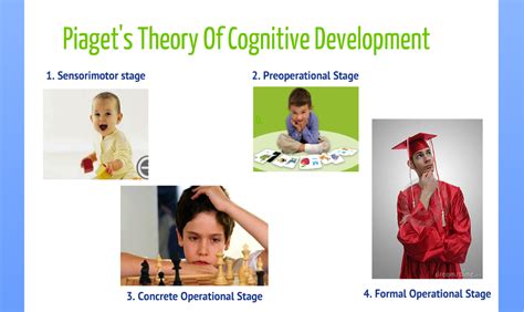Piaget posited four stages of children's cognitive development based on progressive reorganization of mental processes resulting from biological maturation and environmental experience. Developmental Standards Project: Piaget's Theory