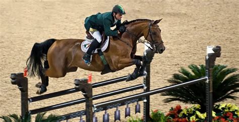 12 Best Horse Breeds For Jumping Clear At Every Level With Videos