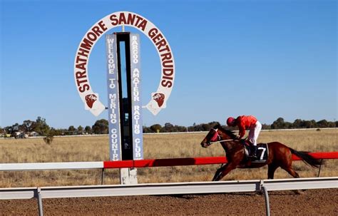 Home Barcoo Amateur Races Blackall