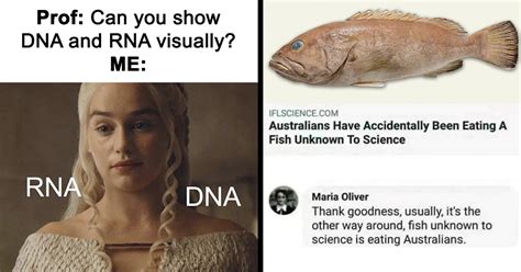 These 50 Science Memes Unite Brains With Chuckles And Result In A Good