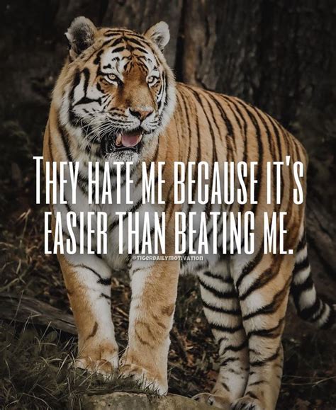 Tiger Motivational Quotes 🐅 On Instagram What Do You Think 🐅