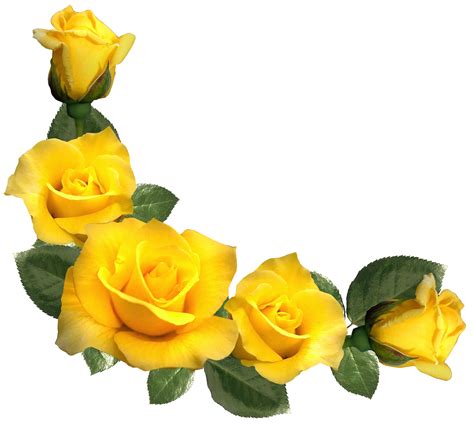 Yellow Flower Aesthetic Png