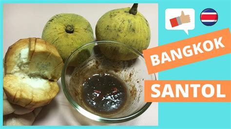 Bangkok Santol Eating Bangkok Santol With Homemade Thai Sauce Bangkok Cotton Fruit Youtube