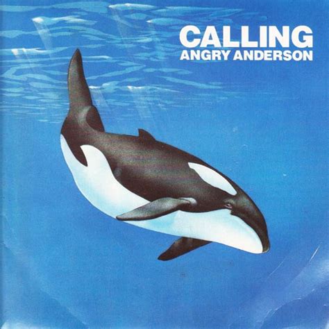 Angry Anderson Calling Releases Discogs