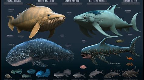Sea Monsters Size Comparison The Largest Sea Animals 3d Comparison