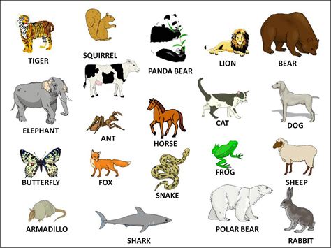 Domestic Animals Pictures With Names Images