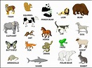 Domestic Animals Pictures With Names images