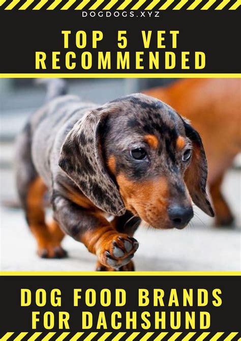 They have created several dog food recipes, including beef, turkey, chicken and lamb, or you can splurge and try their variety pack! 5 Veterinarian Recommended Dog Food Options • Dogdogs ...