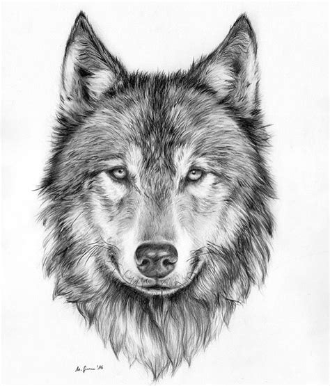 Pin By Erika Jesus On Animal Art Wolf Face Tattoo Wolf Tattoo Design