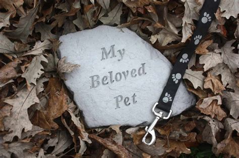 12 Things Your Deceased Dog Wants You To Know