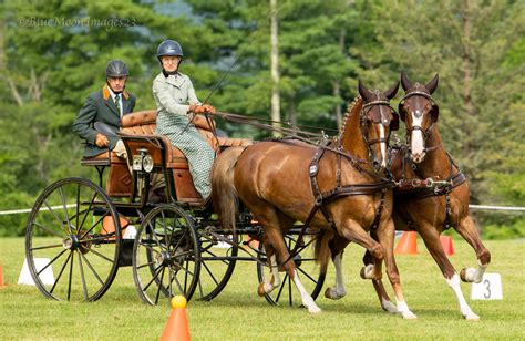 Photos Orleton Farmcolonial Carriage And Driving Society