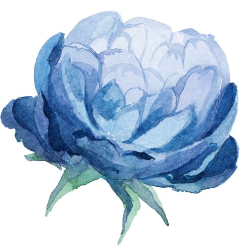 Download Watercolor Blue Flower Png Png Image With No Background