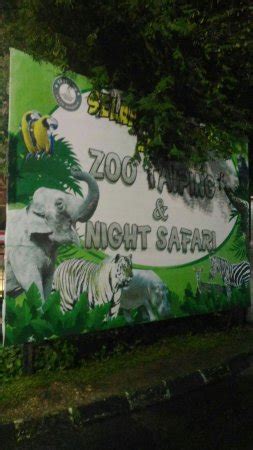 Taiping zoo is a zoological park located at bukit. Zoo Taiping & Night Safari - All You Need to Know Before ...