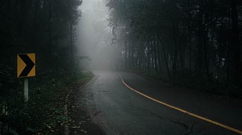 Hd Wallpaper Misty Forest Road Fog Trees