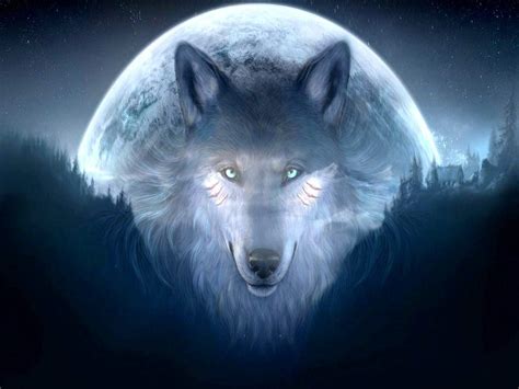 30 Wolf Backgrounds Wallpapers Images Pictures Design Trends