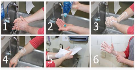 During Hand Washing Food Handlers Should Scrub Their Hands And Arms