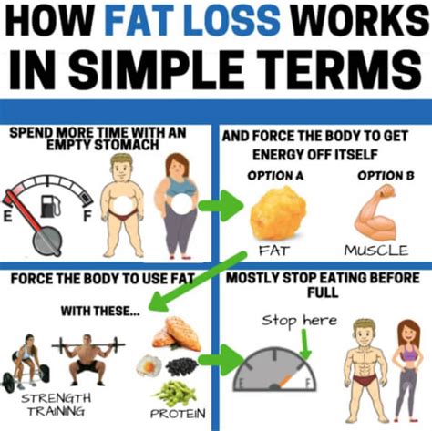 How Fat Loss Works In Simple Terms Healthy Eating Tips Train Yeah We