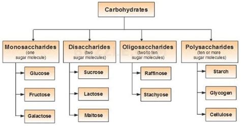 A Diagram With Different Types Of Substances And Their Names In Spanish