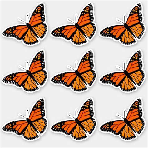 Monarch Butterfly Countour Stickers Sheet Zazzle Butterfly