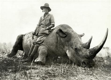 Big Game Hunter Photograph By Underwood Archives Fine Art America