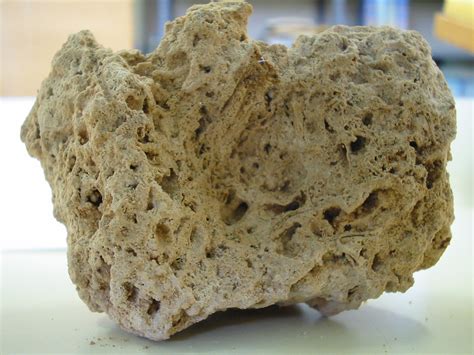 Aprender Ciencia Investigando Rocas Sedimentarias