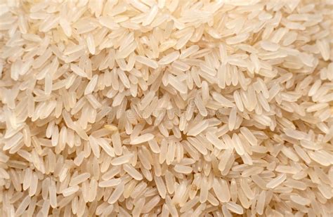 Rice Raw Rice Grains In Close Up Healthy And Balanced Nutrition Stock