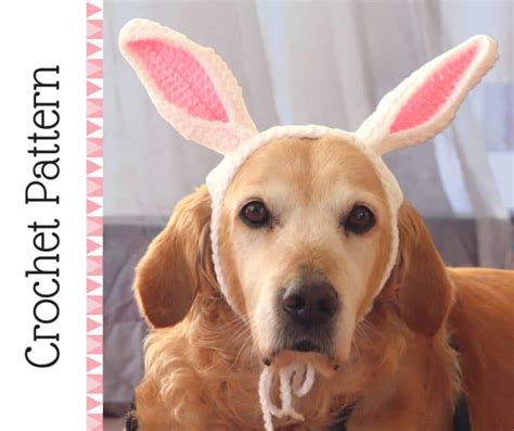 10 Cute Crochet Dog Hat Patterns To Make For Your Pup Easy Crochet