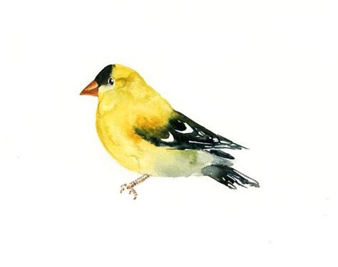 Goldfinch Original Watercolor Painting 10x8inch