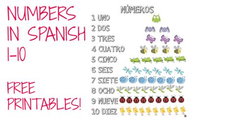 Los Numeros Spanish Numbers 1 100 Reference Sheet By Miss Mindy Tpt