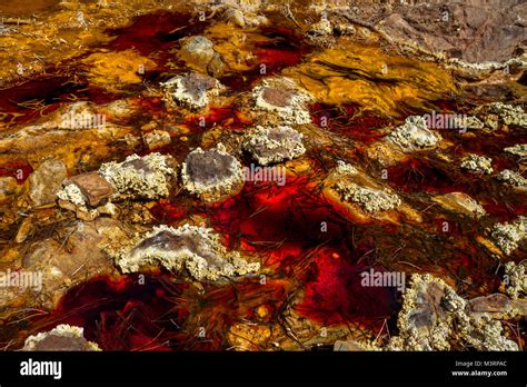 Fantastic Colours Of Rio Tinto The River Is Famous For Its Deep Red