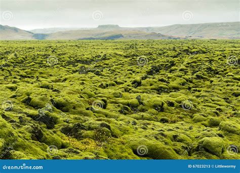 Moss Lava Rock Iceland Stock Image Image Of Green Field 67023213