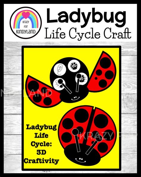 Ladybug Life Cycle Activity With Ladybug Craft For Spring Science Centers