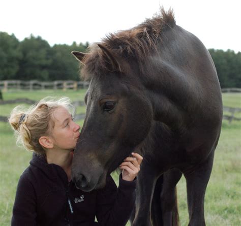 Pin By Heidi Rucki On Love My Horse Horse And Human Horses Circle
