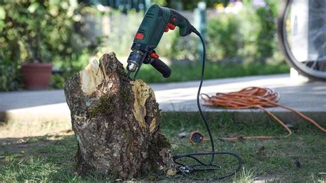 A single limb can weigh up to 1,000 pounds. The Cost and Methods of Removing a Tree Stump