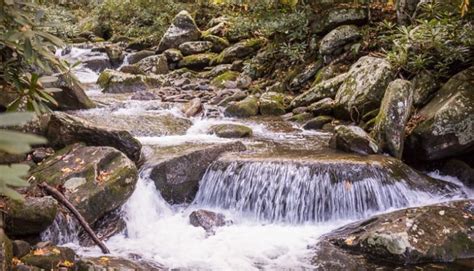 6 Reasons To Hike The Rainbow Falls Trail In Great Smoky Mtns