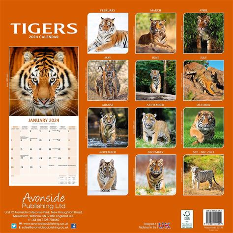 Tigers Calendar Animal Calendars Pet Prints Inc