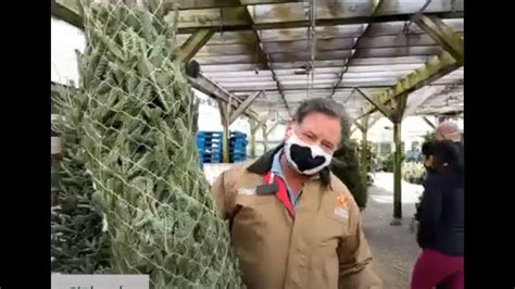I should have asked for it while i still believed. Stew Leonard Christmas Tree / Stew Leonard S On Twitter We Have Plenty Of Fresh Trees Arriving ...