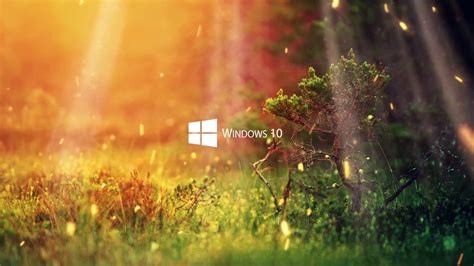Windows 10 Nature Live Wallpaper 12 Gadget Mod Geek