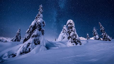 Winter Night Wallpaper 1920x1080