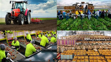 In august of 2017, the lgma programs in california and arizona updated their food safety practices to meet or exceed psr requirements. Food Safety Modernization Act | Arizona Department of ...