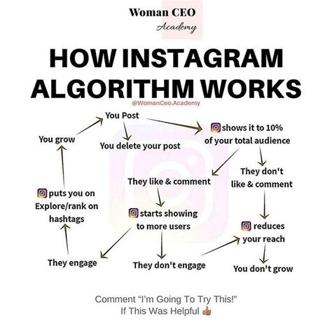 How To Understand Twitter Algorithm
