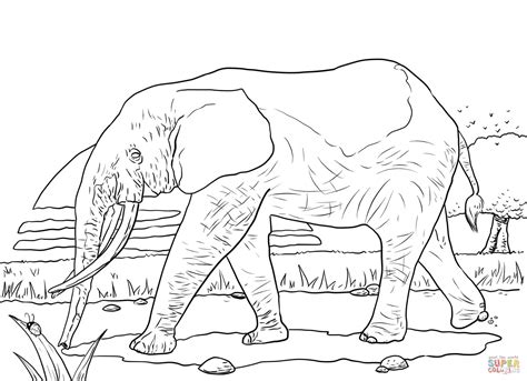Grassland Animals Coloring Pages At