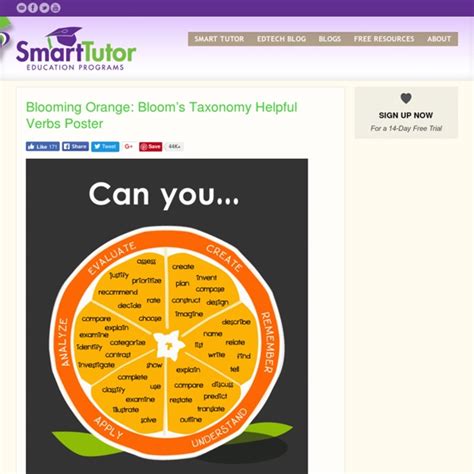 Blooming Orange Blooms Taxonomy Helpful Verbs Poster Pearltrees