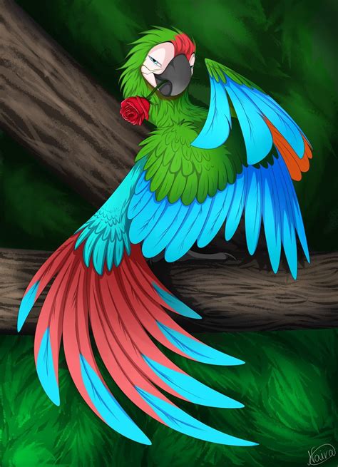 Beautiful Paco By Nairasanches On Deviantart Parrots Art Bird Art