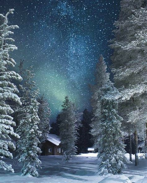 Winter Scene With Starry Night Escenas De Invierno